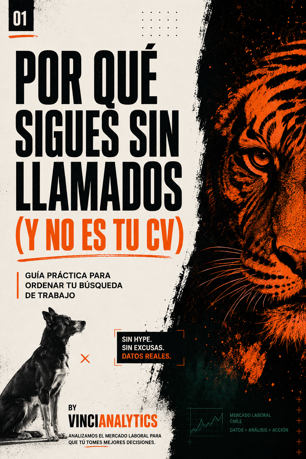 Manual táctico de búsqueda laboral VinciAnalytics